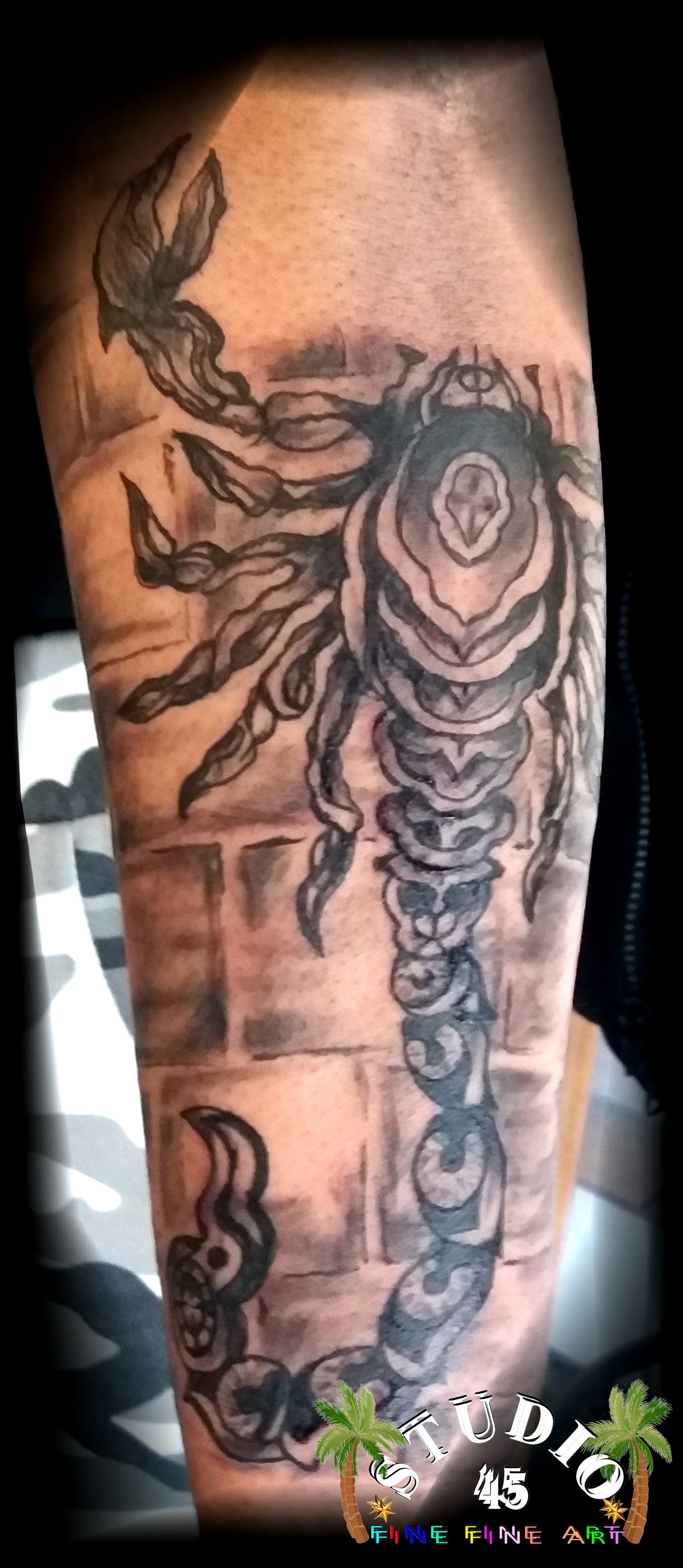 Aegybtisch Scorpion Unterarm Tattoo Recklinghausen STUDIO 45